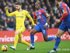 关于清晨切尔西伤情更新纽卡斯尔迎NBA季后赛关键赛，尼斯内部会议纪要流出——赛前调整名单瞬间刷屏的信息